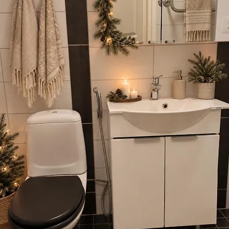 For Christmas - * Rovaniemi
